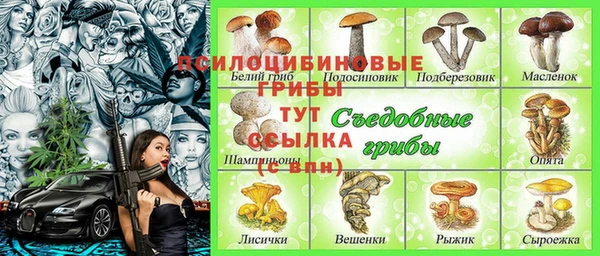молекула духа Абинск