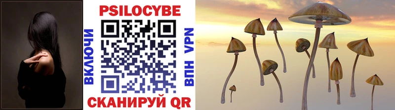 купить   МЕГА tor  Галлюциногенные грибы MAGIC MUSHROOMS  Нальчик 